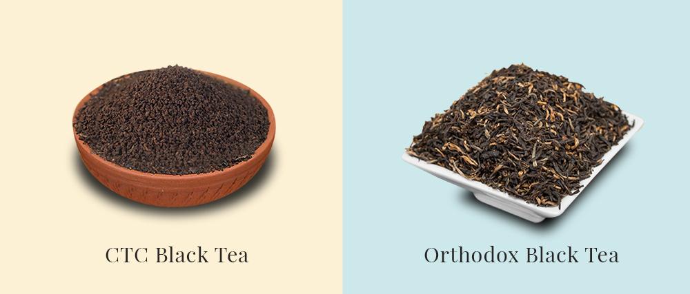 Orthodox loose-leaf tea compared with CTC tea